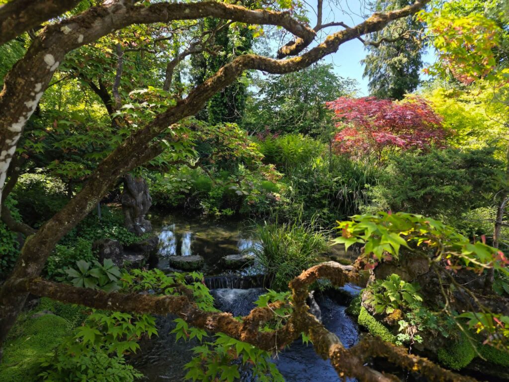 A tranquil garden with a stream, lush green foliage, and colorful trees under bright sunlight.