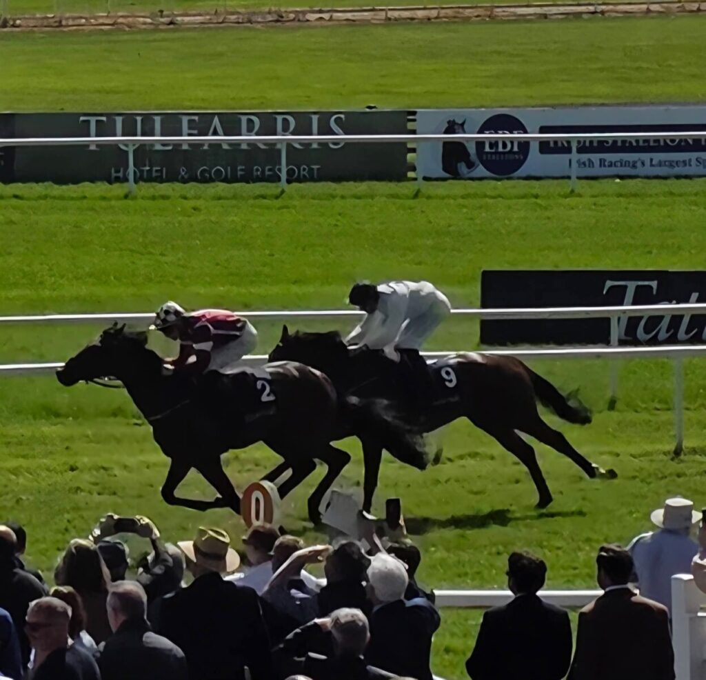 Two racehorses, numbered 2 and 9, compete closely at a horse racing event in front of a crowd.